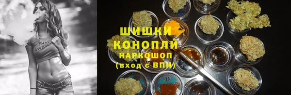 ПСИЛОЦИБИНОВЫЕ ГРИБЫ Гусев