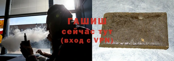 шишки Гусиноозёрск