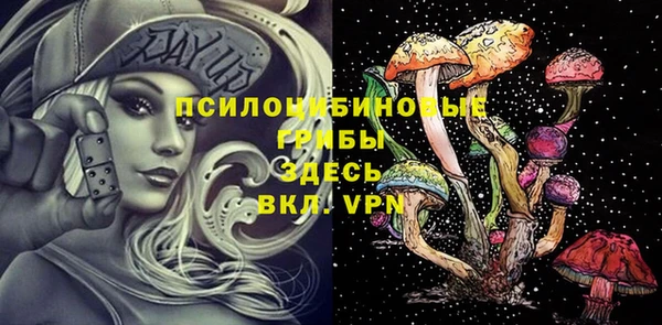 индика Гусь-Хрустальный
