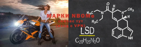 шишки Гусиноозёрск
