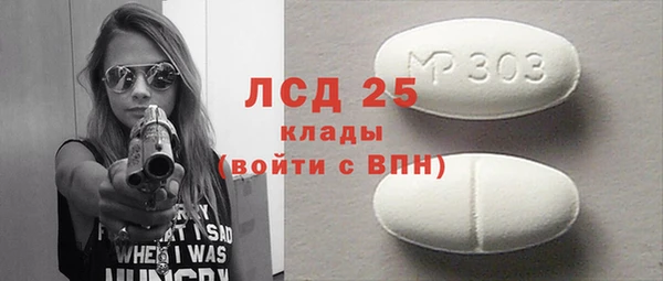 шишки Гусиноозёрск