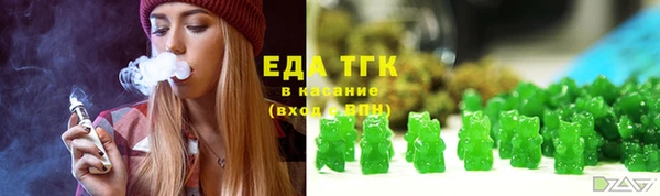 шишки Гусиноозёрск