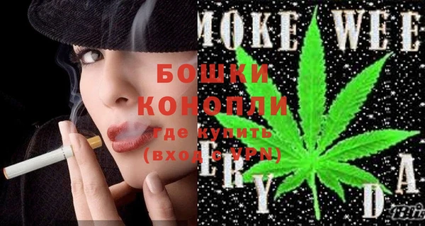 индика Гусь-Хрустальный