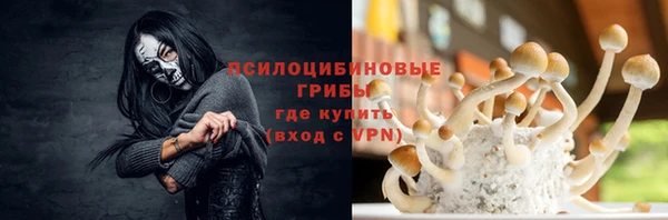 шишки Гусиноозёрск