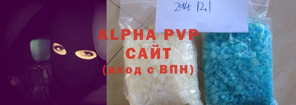 шишки Гусиноозёрск