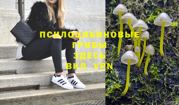 марихуана Дмитровск