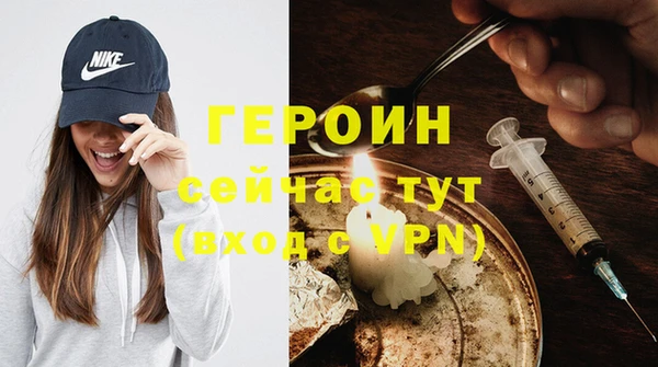 индика Гусь-Хрустальный
