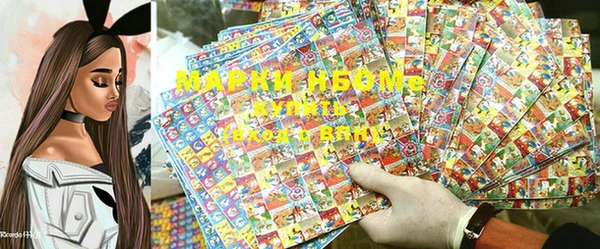 индика Гусь-Хрустальный