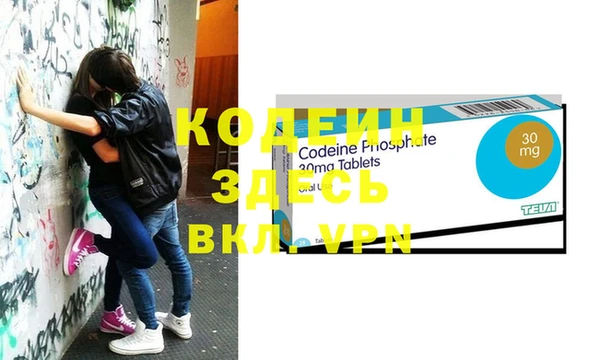 шишки Гусиноозёрск