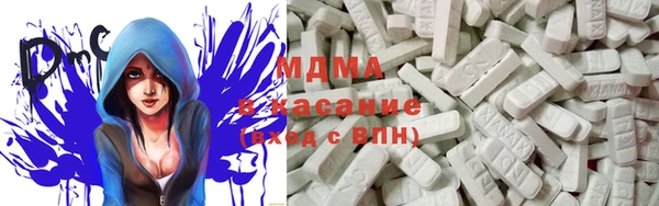 индика Гусь-Хрустальный