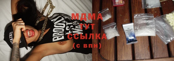 индика Гусь-Хрустальный