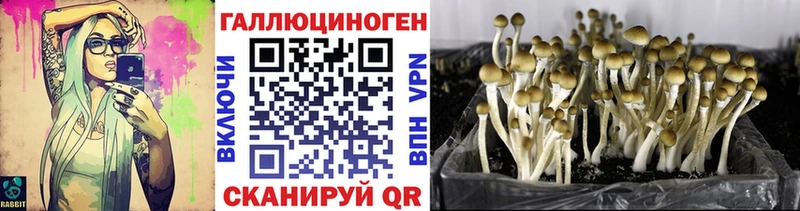 Галлюциногенные грибы MAGIC MUSHROOMS  Ершов 